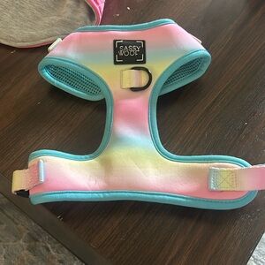 Sassywoof Fun rainbow dog harness